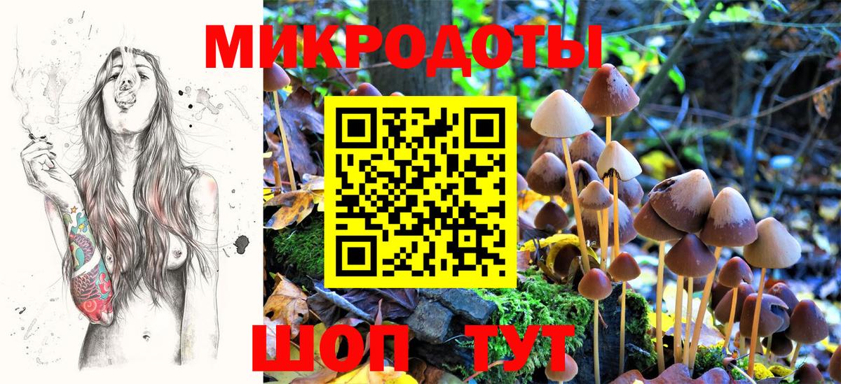 Псилоцибиновые грибы Cubensis Тавда